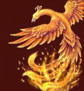 百鳥之王是什么鳥，鳳凰是古代傳說中的百鳥之王