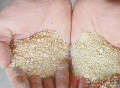 蝦吃什么飼料，大豆磷脂為4%豆粕為20%花生粕為7.4%