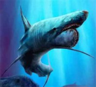 遠古最恐怖的海洋生物，巨齒鯊、滄龍、魚龍、巨型鱷魚達科龍