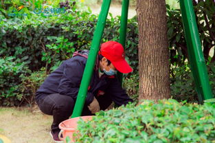 除草是什么季節，夏季和秋季都有