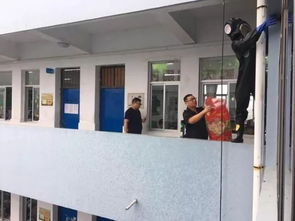 馬蜂飛到家里怎么辦，先用殺蟲劑噴射蜂巢出口和巢外蜂群