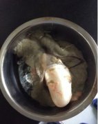 鳙魚是什么魚，是淡水魚的一種又叫胖頭魚、包頭魚