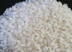 稻米油多少錢一斤，國內的稻米油一般會賣到一二百塊錢一斤