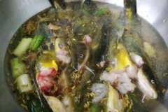 趴地虎魚能吃嗎，趴地虎魚能吃，而且含肉多、少刺、肉味鮮美