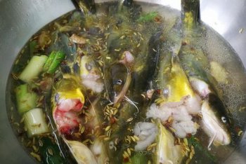 趴地虎魚能吃嗎，趴地虎魚能吃，而且含肉多、少刺、肉味鮮美