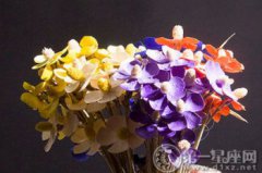 紫羅蘭的花語，藍色的為“我將永遠忠誠于你”
