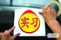 c1駕照實習期扣分規定，c1駕照實習期可以上高速嗎