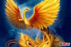 五鳳之首，九種鳳凰