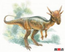 世界上最后的10只恐龍，十大最聰明的恐龍
