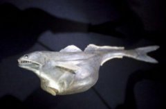 羅布泊恐怖生物照片，十種水下恐怖生物