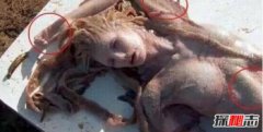 超級漂亮的美人魚圖片，世界上最漂亮的美人魚