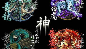 四大神獸誰最強，沒有辦法比較他們誰強誰弱