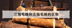 三指毛桃和五指毛桃的區別，為什么五指毛桃有三指葉子