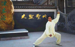 世界七大武術家，世界武術排名前十位