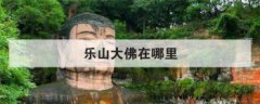 樂山大佛在哪里，樂山大佛有2處不能拍照