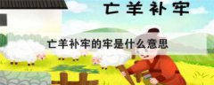 亡羊補牢的牢是什么意思，亡羊補牢 正確的下一句