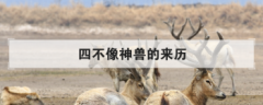 四不像神獸的來歷，姜子牙四不像最后變成什么了
