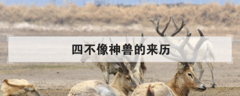 四不像神獸的來歷，姜子牙四不像最后變成什么了