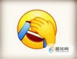 微信中捂臉的表情是什么意思，微信中[捂臉]是啥意思