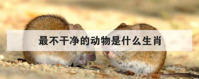 最不干凈的動物是什么生肖，十二生肖誰最臟