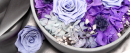 永生花的花語是什么，永生花經典語錄