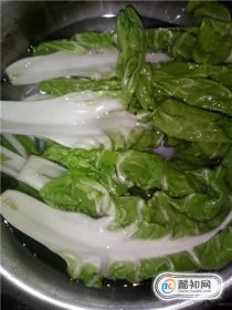 牛皮菜怎么做好吃，紅牛皮菜的家常做法