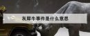 灰犀牛事件是什么意思，典型的灰犀牛事件有哪些