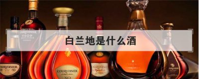 白蘭地是什么酒，張裕白蘭地為什么便宜