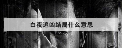 白夜追兇結局什么意思，白夜追兇大結局解析