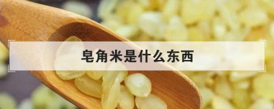 皂角米是什么東西，真正的皂角米多少錢一斤