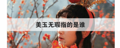 美玉無瑕指的是誰，一個是閬苑仙葩 一個是美玉無瑕