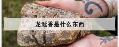 龍涎香是什么東西，龍涎香對女性有害嗎
