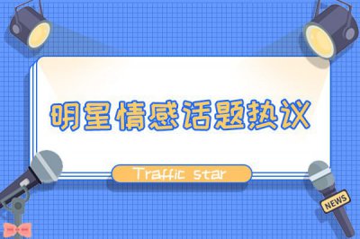 劉敏濤第一任丈夫是誰，何政軍的老婆劉敏濤
