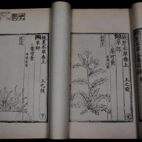 救荒本草是哪個朝代的人寫的，明代時期朱橚編撰的