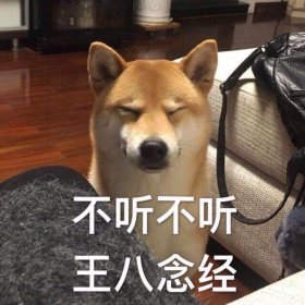 不聽不聽王八念經下一句是啥，不理不理罵你自己懟回去