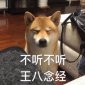 不聽不聽王八念經下一句是啥，不理不理罵你自己懟回去