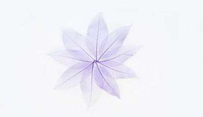 高智商反擊別人污蔑你，不要頻繁地強調自己的無辜