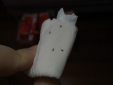 床上有黑色硬殼小蟲子是什么蟲，類似小瓢蟲