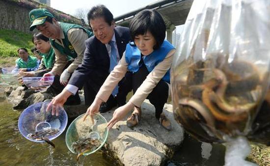 為什么放生泥鰍果報大 經常放的好處 撿回的龍蝦能養嗎