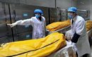 火葬場怎么燒人的 尸油哪去了怎么處理 人死后火葬痛不痛