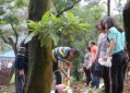 男孩胎盤埋哪里風水好，埋在庭院或菜園都可以