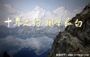 盜墓筆記十年之約是什么意思，守護青銅門后秘密的約定