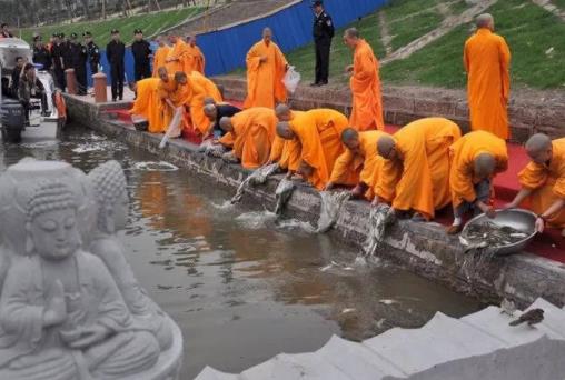 放生的功德和福報（化解業障，超度債主）