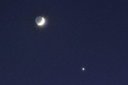 金星伴月什么時候出現