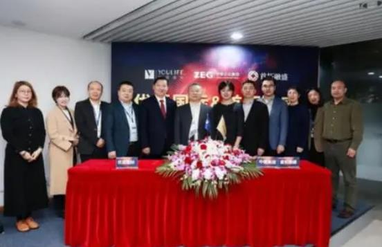 中植系背后的靠山是誰，背靠神秘且又實力雄厚的金錢帝國