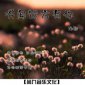 聽聞遠方有你歌曲原唱，一首源于親情的歌曲
