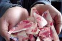小孩撕一元錢犯法嗎，不是故意撕毀就不會受處罰