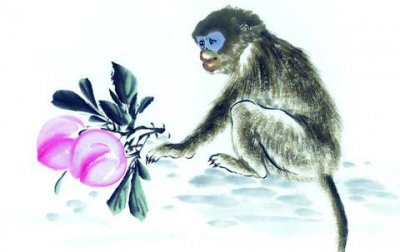 屬猴人離不開的兩個貴人是誰，為什么要遠離屬豬