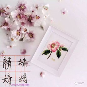 柔荑指女子的什么地方，喻指女子柔嫩的手