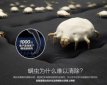 螨蟲最怕這3種東西，怕艾草、紅霉素+白醋+蜂蜜、太陽這3種東西
